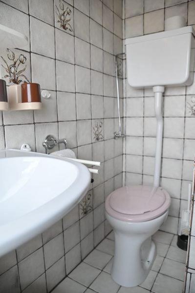 Ferienwohnungen Oedenburgerhof Fertőmeggyes Kültér fotó