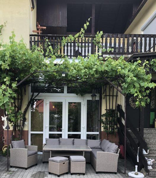 Ferienwohnungen Oedenburgerhof Fertőmeggyes Kültér fotó
